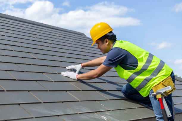 Best Local Roofing Companies  in Ecru, MS