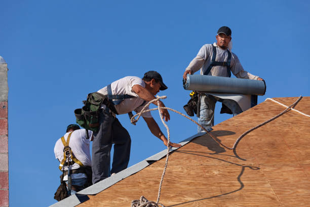 Best Residential Roofing Contractor  in Ecru, MS