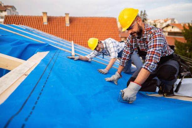 Best Metal Roofing Contractor  in Ecru, MS