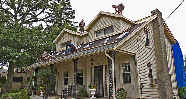 Trusted Ecru, MS Roofing Contractor Experts