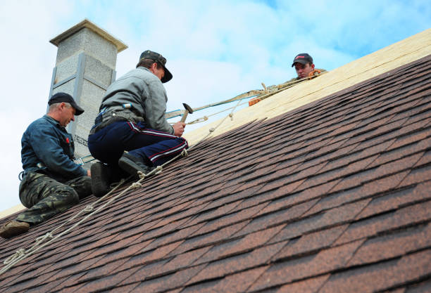 Best Tile Roofing Contractor  in Ecru, MS