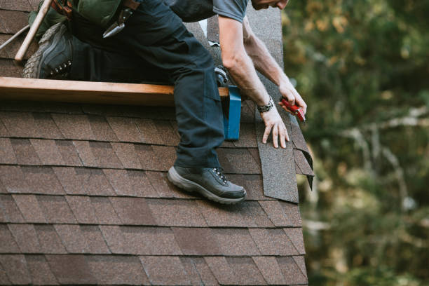 Best Shingle Roofing Installation  in Ecru, MS